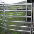 Австралия Крупный рогатый скот Сельхозтехника / Приусадебный участок для животных